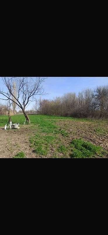 частичная: 30 соток, Для строительства — 3