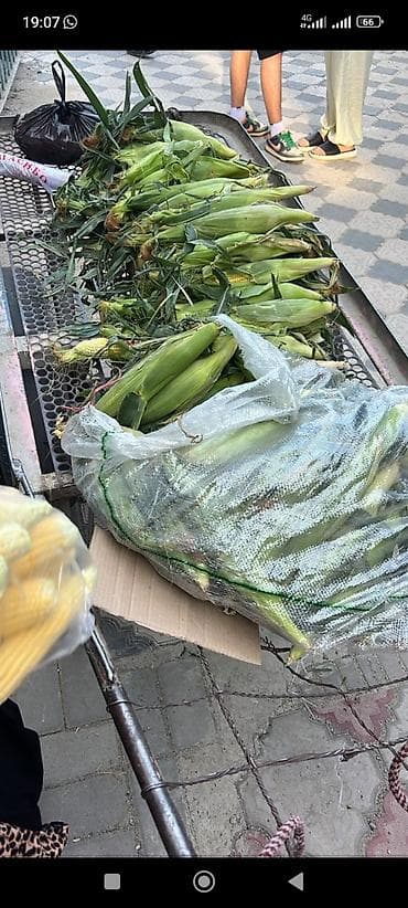 кукурузу: Кукуруза В розницу — 1