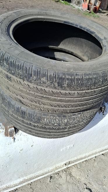 Продается пара летних шин для легкового автомобиля. 205/55/16 at lalafo.kg Продается пара летних шин для легкового автомобиля. 205/55/16
