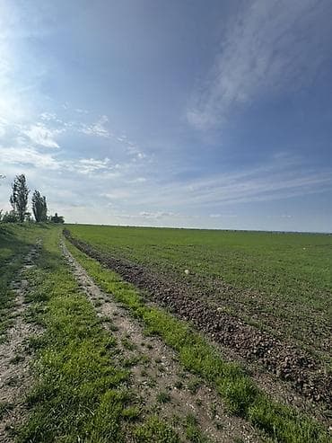 селхоз земли: 500 соток Для сельского хозяйства, Водопровод — 7