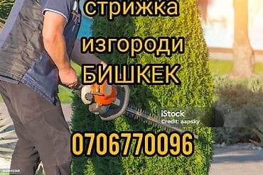 Профессиональная стрижка живых изгородей и декоративных кустарников в