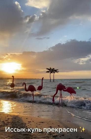 Курортная локация на берегу Иссык‑Куля - Ухоженная набережная с