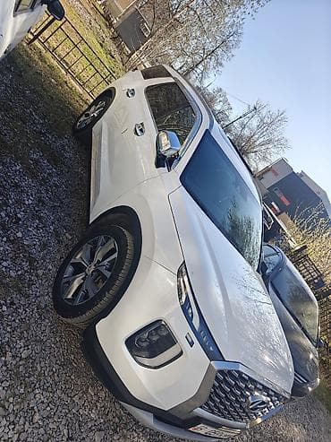 bmv e60: Hyundai Palisade: 2019 г., Дизель, Кроссовер — 2