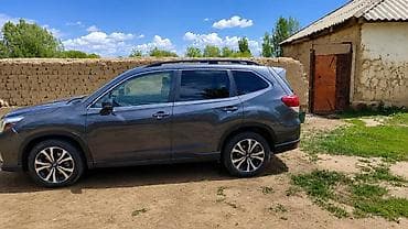 обшивка одиссей: Subaru Forester: 2020 г., Вариатор, Бензин, Кроссовер — 6