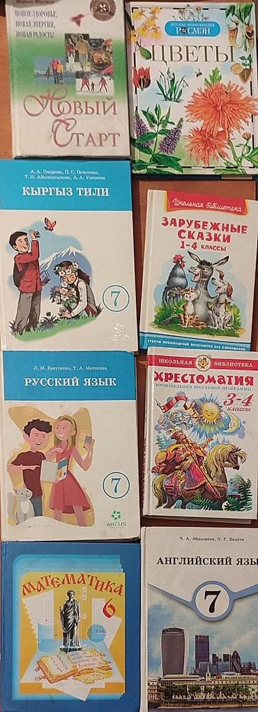 Книги и журналы: Русский язык, 7 класс — 1