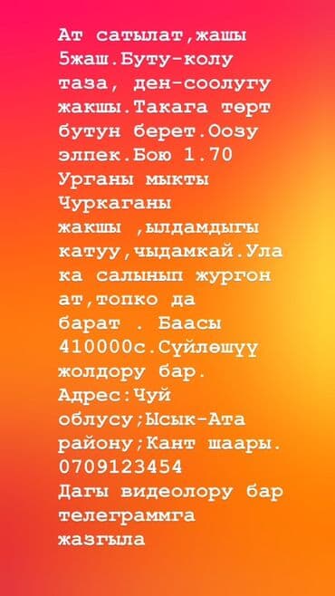 Ветеринар кызматы: Сатам | Жылкы (эркек) | Жумушка — 4