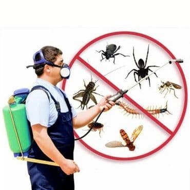 дезинфекция дома от клопов ош: Дезинфекция, дезинсекция, | Блохи, Вирусы, микробы, Клопы, | Квартиры, Офисы, Дома — 16