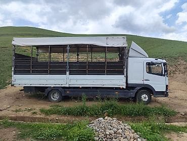 фильтр замена: Грузовик, Mercedes-Benz, Стандарт, 7 т, Б/у — 5