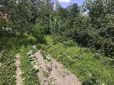 Продажа домов: Продается дом с участком в одном из самых востребованных районов — 10