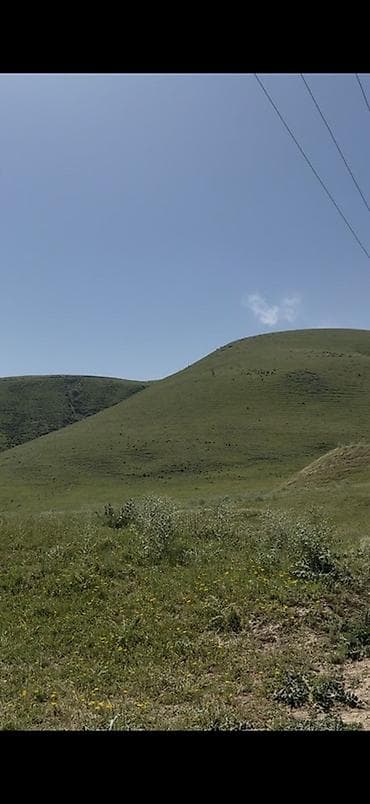 бутка будка: 5 соток, Для бизнеса, Красная книга, Тех паспорт, Договор купли-продажи — 1