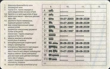 Недвижимость: Услуга профессионального водителя с полным набором категорий — 1