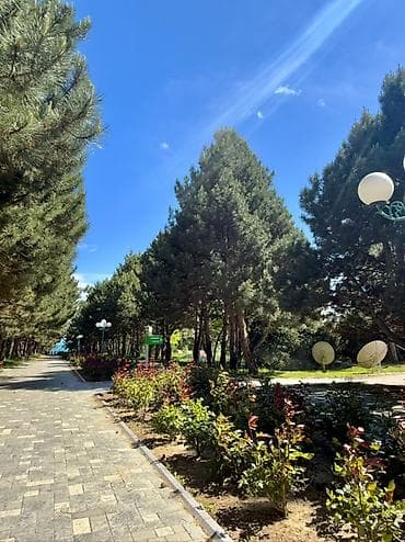 иссык кул: ⸻ ПРОДАЕТСЯ КОТТЕДЖ на Иссык-Куле, пансионат «Евразия» село Кара-Ой — 6