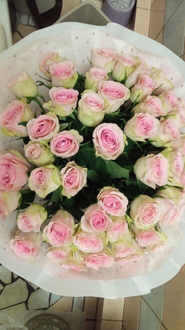 живые растения в аквариум купить: Акция‼️‼️‼️101 и 51 роза букет 💐 любое оформление в подарок 🌹акция — 21