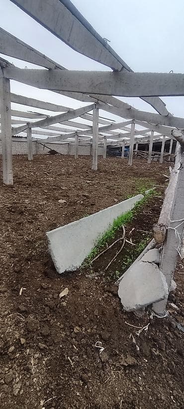 цветочный салон: Новоз для удобрения земель и полей. и для бизнеса биогумз и для — 1