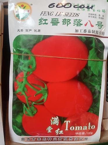 Продается семена Китай новичок помидор — 8