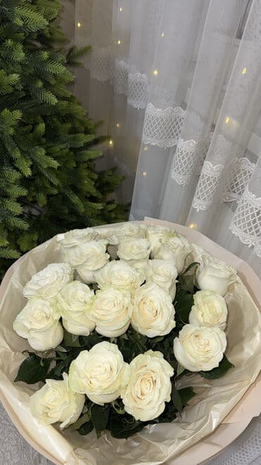 мойка высокого давления бишкек купить: Свежие цветы — 5