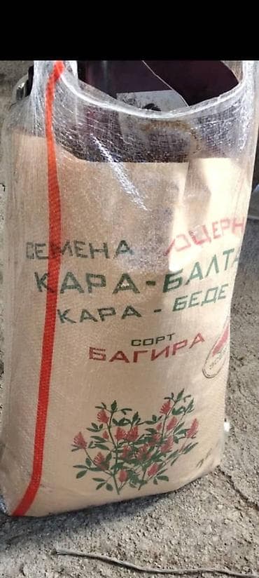 Дрова: Семена кормовых растений: Эспарцет — 1