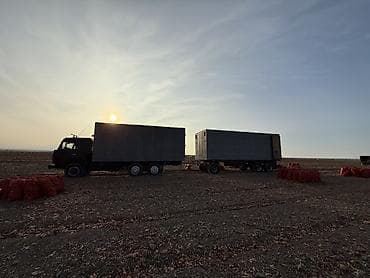 thermo king: Тягач, МАЗ, Изотермический — 3