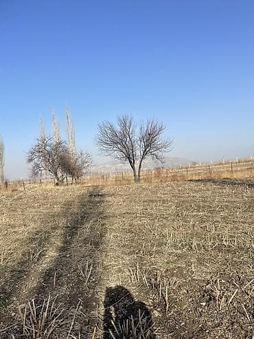 участок гулчо: 8 соток, Красная книга — 4