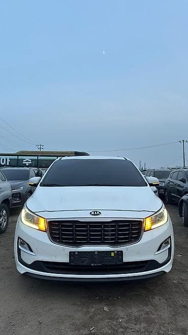 carnival: Kia Carnival: 2020 г. — 9