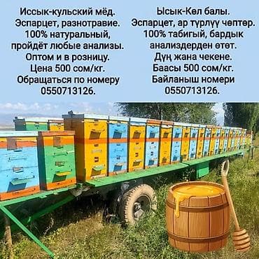 бекер кийим: Мёд Иссык-кульский 100% натуральный . Разнотравие . Пройдёт любые — 3