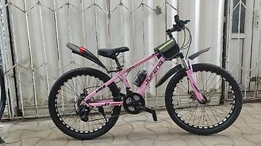 бензиновый велосипед: Электротранспорт и велосипеды для города и бездорожья. 1) Трёхместный — 4