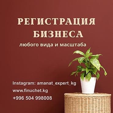 Юридические услуги | Трудовое право, Финансовое право | Аутсорсинг, Консультация