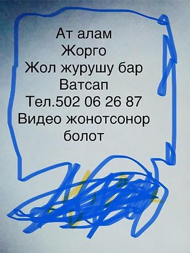 Продаю | Конь (самец) | Кара Жорго | Рабочий at lalafo.kg Продаю | Конь (самец) | Кара Жорго | Рабочий