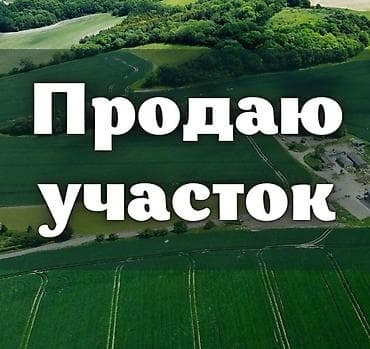 дом в лебединовке первая линия: 15 соток, Для бизнеса, Красная книга — 1
