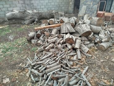 дрова тополь: Дрова Орех, Самовывоз — 5