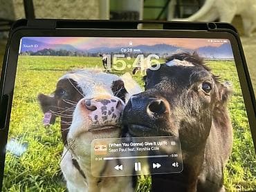 Компьютеры, ноутбуки и планшеты: Планшет, Apple, память 64 ГБ, 10" - 11", Wi-Fi, Б/у, Классический цвет - Зеленый — 10