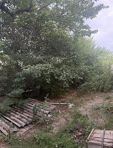 Үйлөр: Срочно продам полдома в с.Маевка,ул.Молодежная Участок 3 сотки Площадь — 2