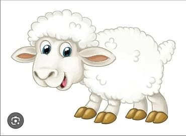 уй жаныбары: Сатам | Кочкор (эркек) — 1