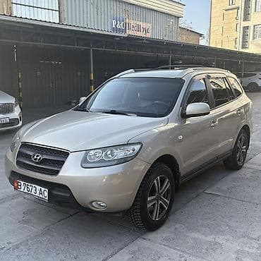 karina e: Hyundai Santa Fe: 2008 г., Кроссовер — 3