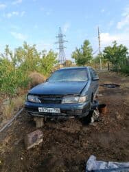 померанский шпиц купить недорого: РФ номерде, Запчастары сатылат арзан баада доставка бар чалгыла — 2