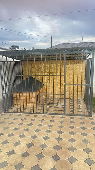 Иттер: Вольер для собаки 3*2
В наличии — 2