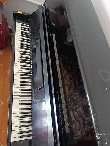 гитара комуз: Акустическое пианино «Беларусь» (вертикальное) - Тип: классическое — 4