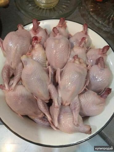 люцерна цена за 1 кг: Перепел :, До 1 кг, Самовывоз, Платная доставка — 1