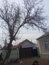 прайс лист на отделочные работы бишкек 2024 год: Кара-балта!!! Пилю Дрова Спил дров Колим дрова отун аралайбызбак — 12