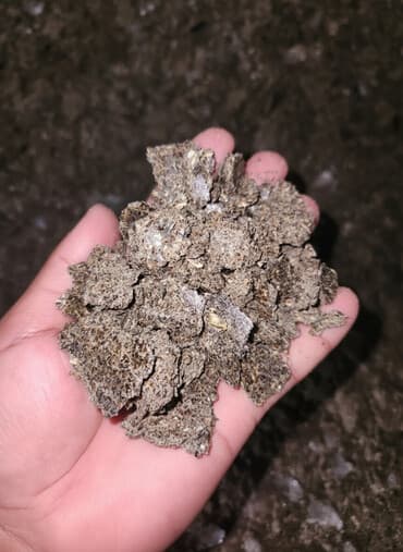 Сафлор кунжара (Сафлорной жмых)