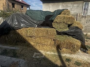 корм для грызунов: Сено в тюках ТОО Чоп - Натуральное луговое сено, спрессованное в — 2