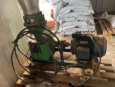 Услуги ветеринара: Продаю | Бык (самец) — 1