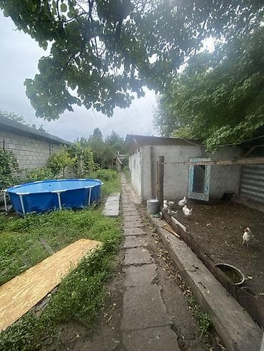 5 соток, Бизнес үчүн, Кызыл китеп — 1