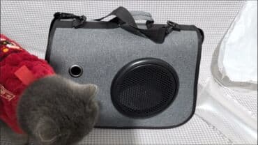 обучение собак: Переноска-рюкзак для кошек и собак с иллюминатором, серая — 2