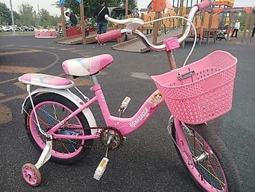 toy: Детский велосипед, 2-колесный, 4 - 6 лет, Для девочки — 2