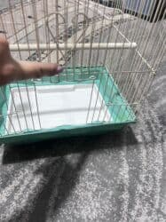 купить клетку для декоративного кролика бу: Клетка для птичек — 5