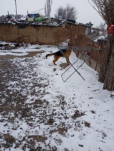 Уход и хранение одежды: Сушилка, цвет - Серый — 3