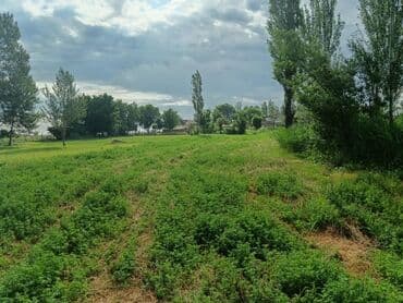 дом ипотека бишкек: Времянка, 48 м², 2 комнаты, Собственник, Косметический ремонт — 2