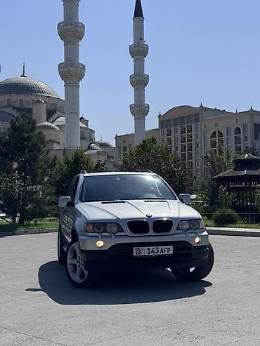 BMW X5: 2003 г., 3 л, Автомат, Дизель, Кроссовер