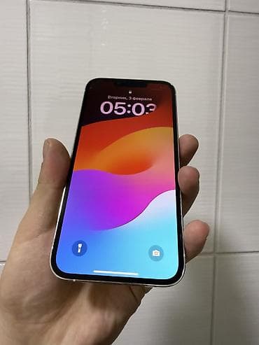 фото на памятник: IPhone 13 Pro, Серебристый — 2